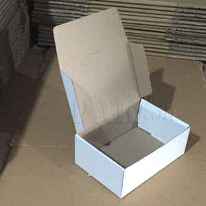 E-ticaret kargo kutusu