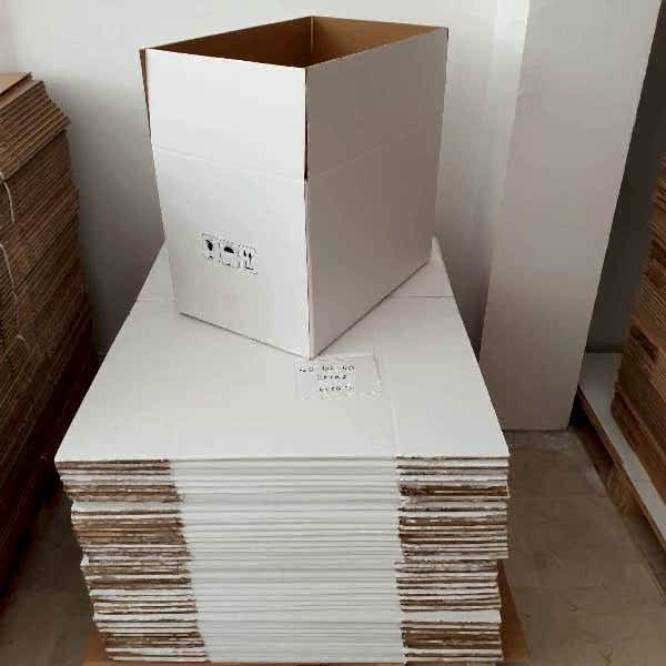 Buyuk-beyaz-koli büyük beyaz koli