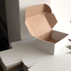 internet kargo kolisi