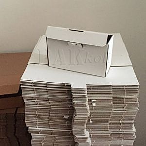 Küçük kargo kolisi